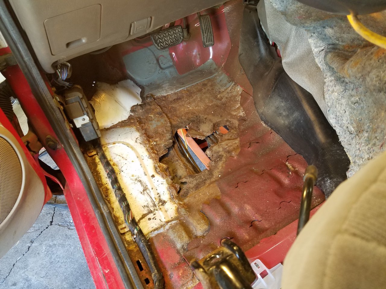 20190403_130634.jpg
