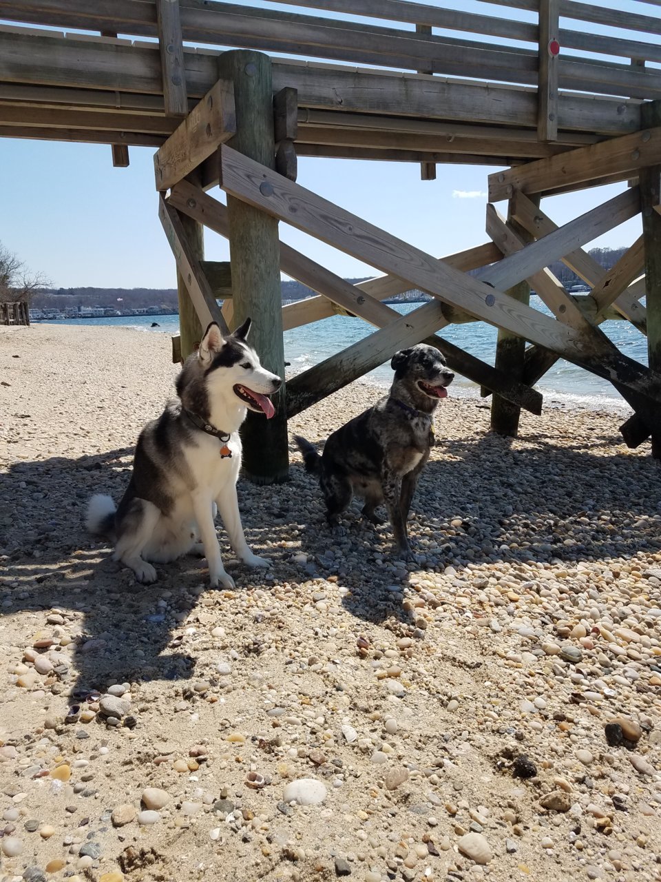 20190403_141454.jpg