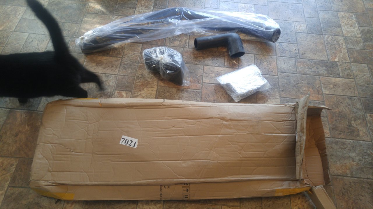 20190403_172100.jpg