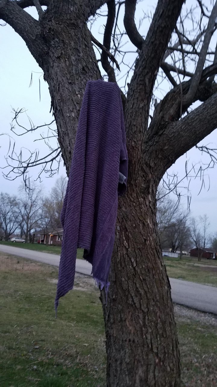 20190403_193020.jpg