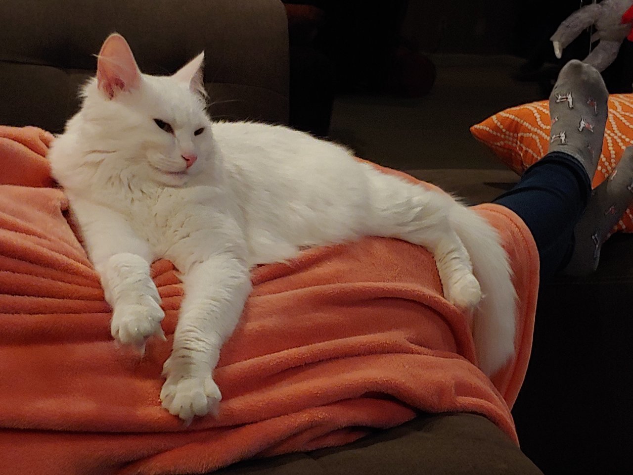 20190403_211514.jpg