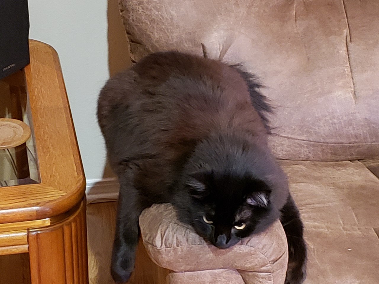 20190403_233649.jpg