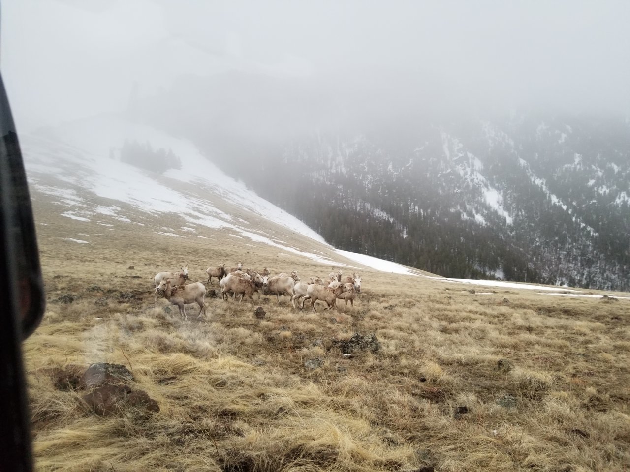 20190404_064813.jpg