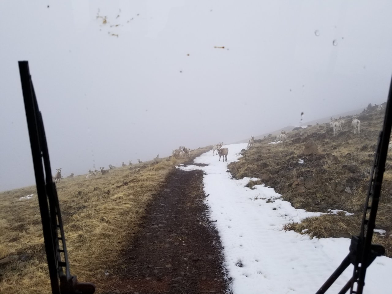 20190404_081404.jpg