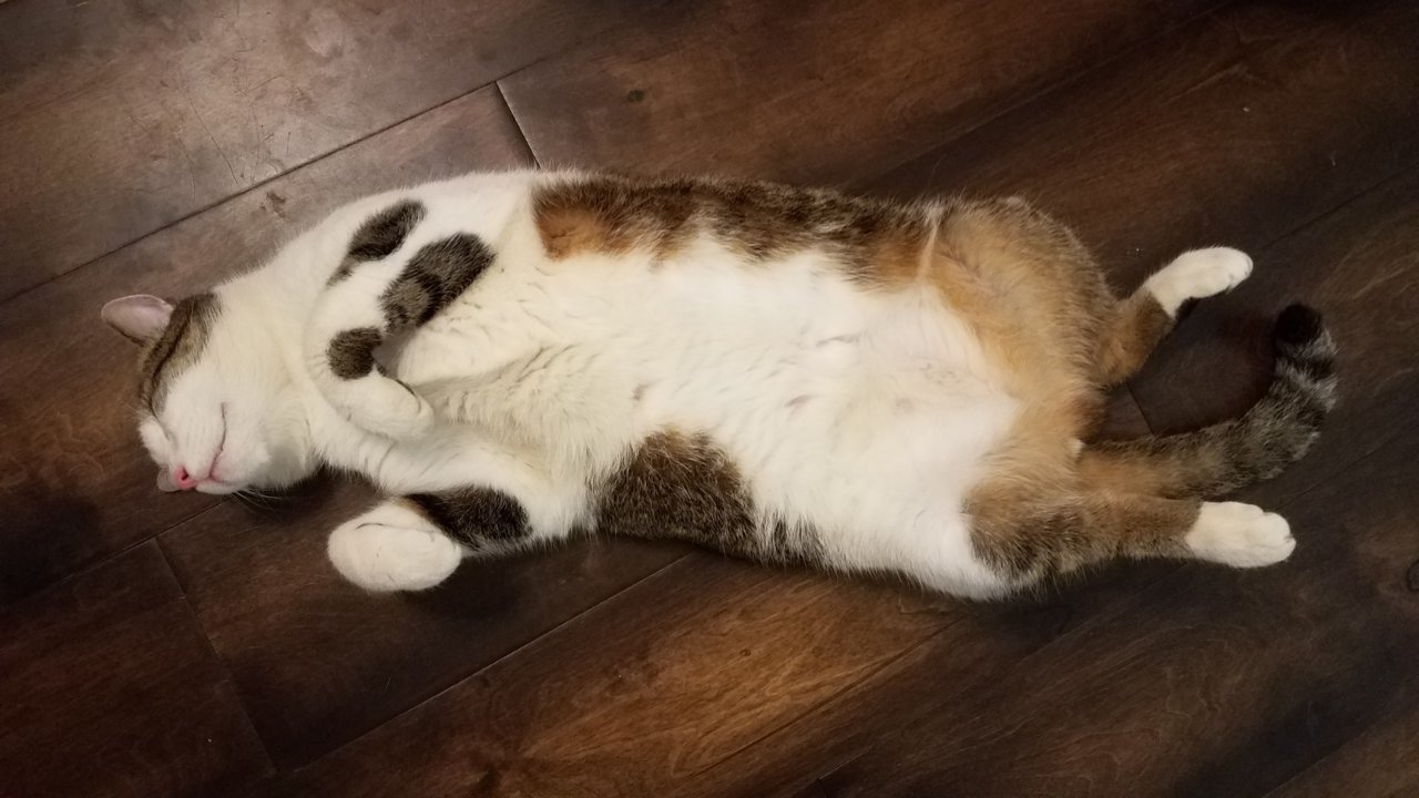 20190404_104636.jpg