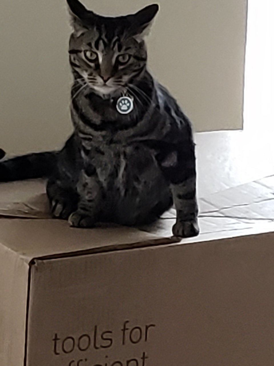 20190404_140736.jpg