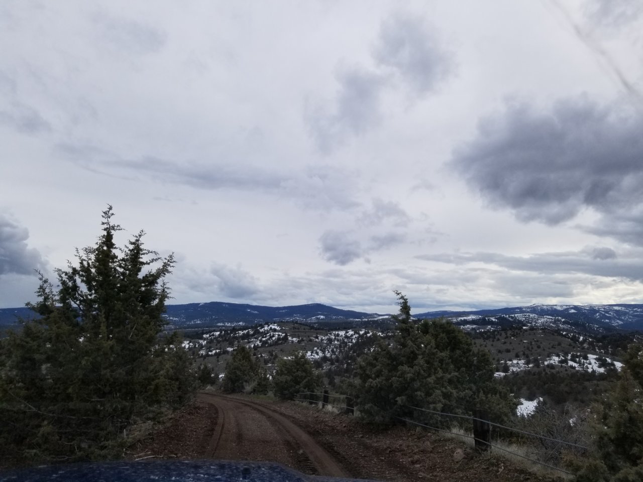 20190404_171933.jpg