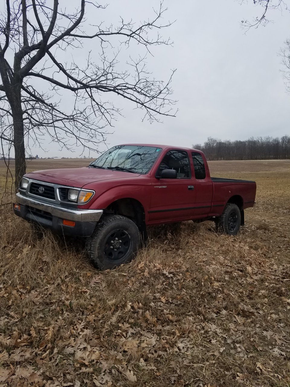 20190404_180907.jpg