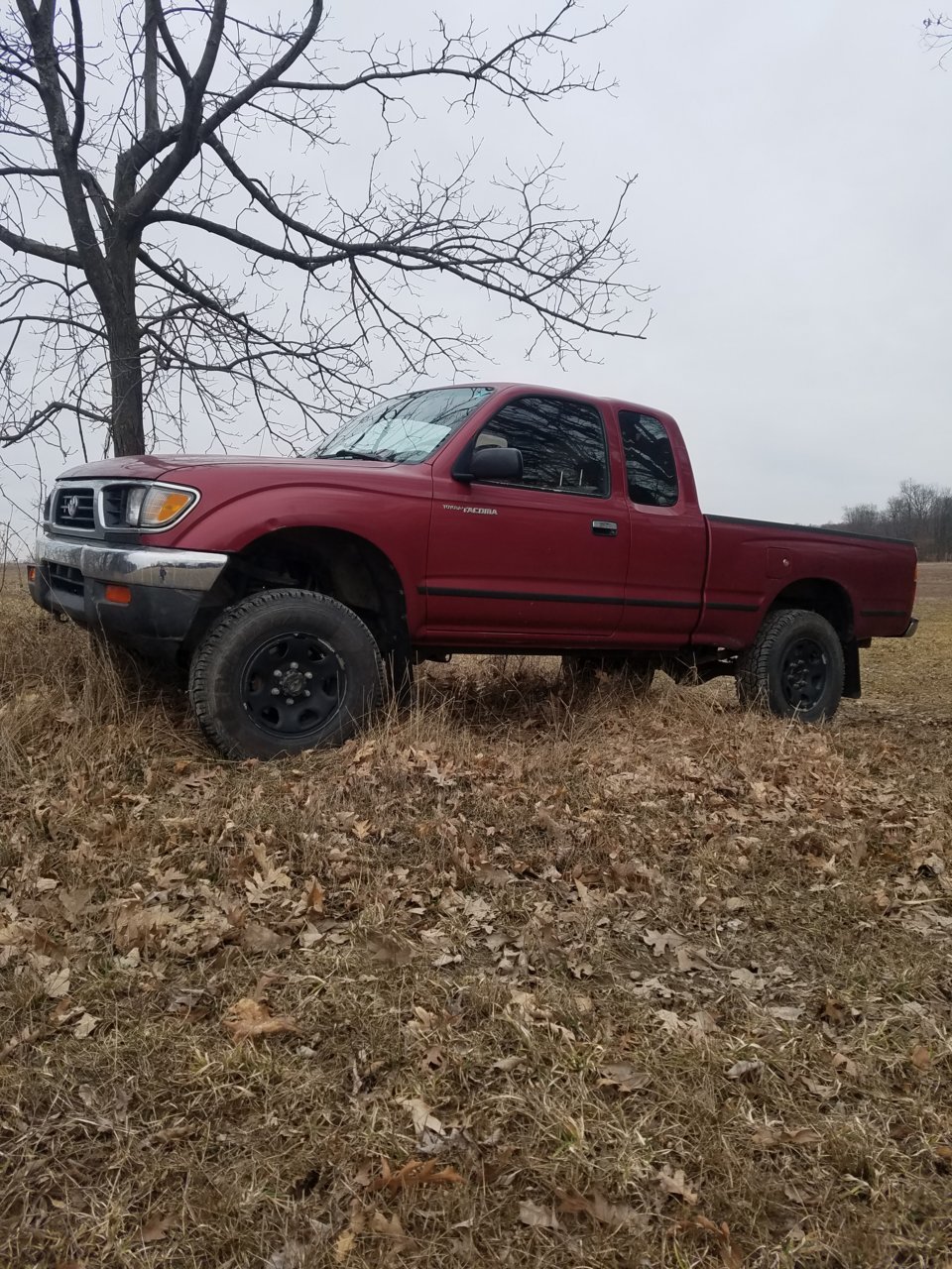 20190404_181030.jpg