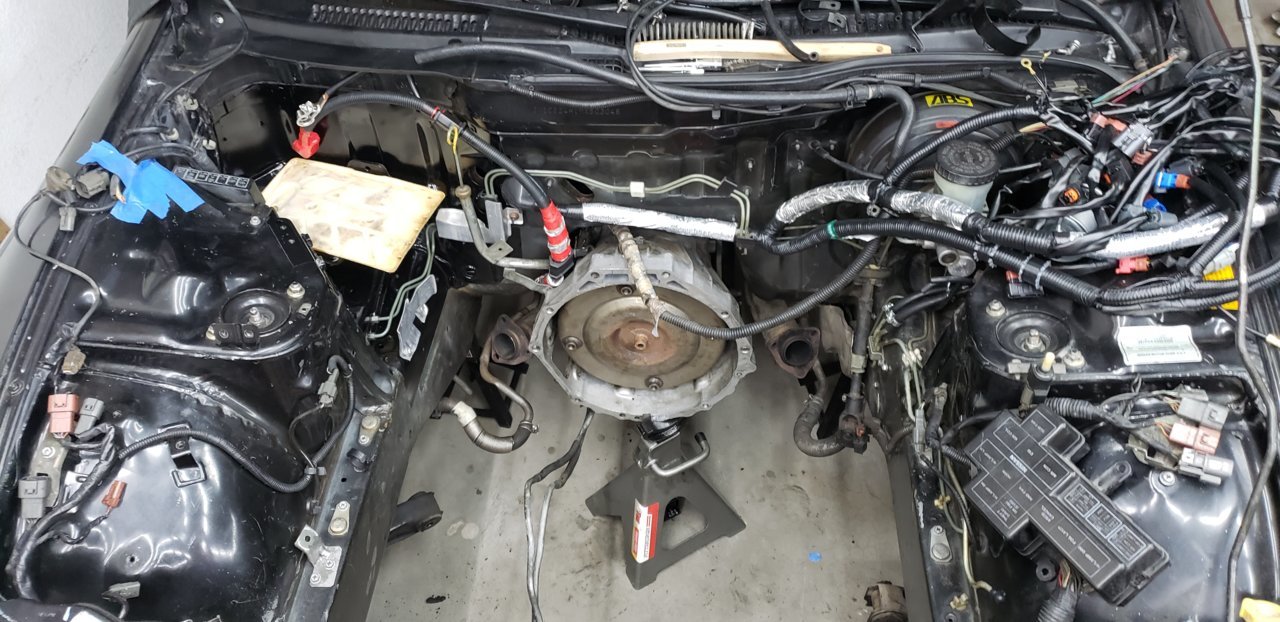 20190404_210435.jpg