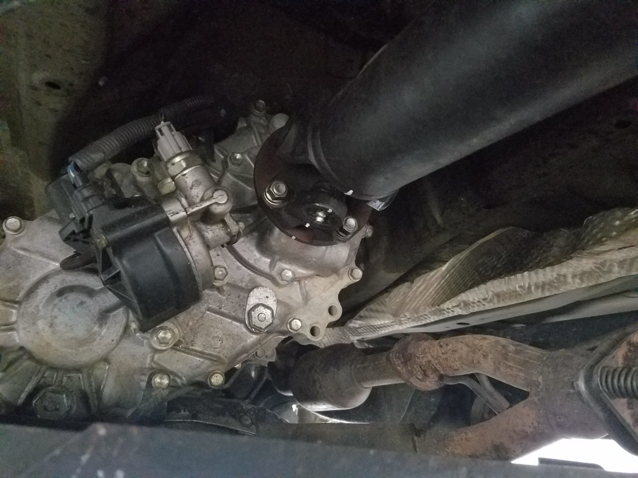 20190405_124323.jpg