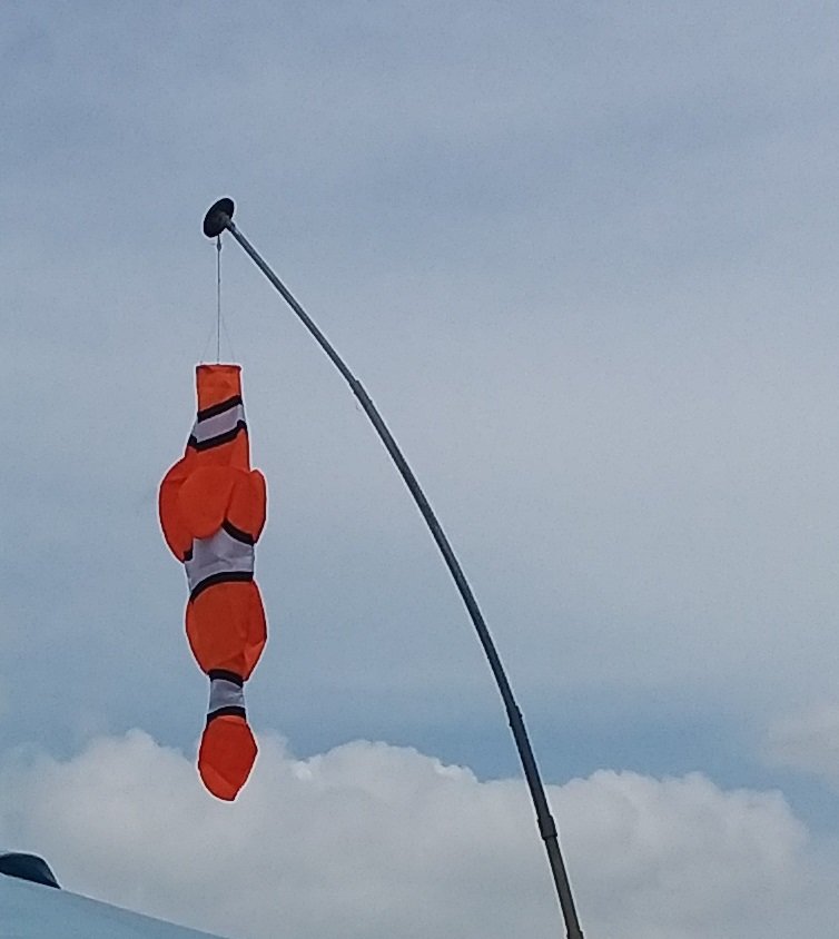 20190405_144557.jpg