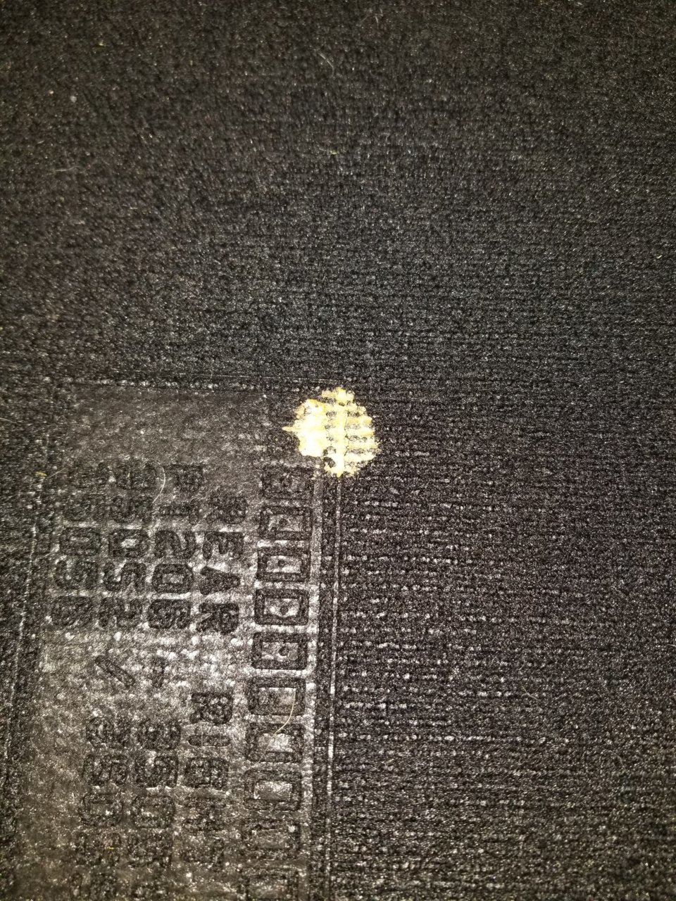 20190405_172452.jpg