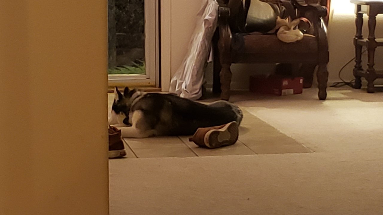 20190405_225850.jpg