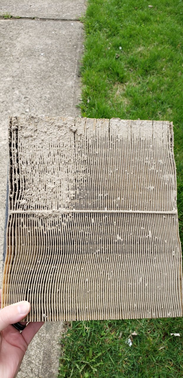 20190406_100156.jpg