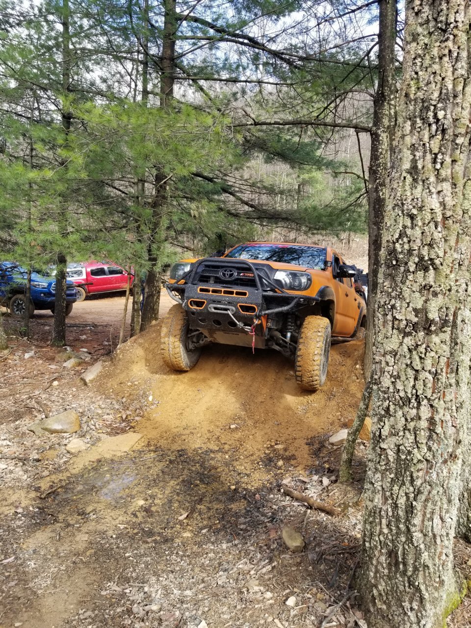 20190406_100640.jpg