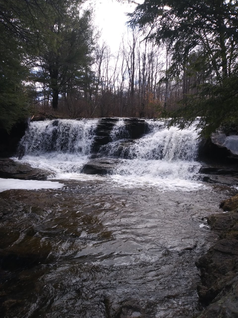 20190406_120134.jpg