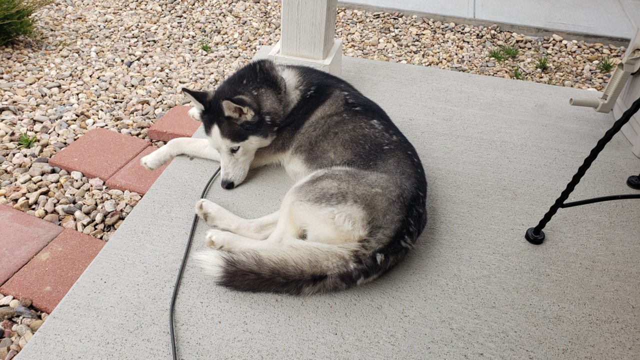 20190406_140332.jpg