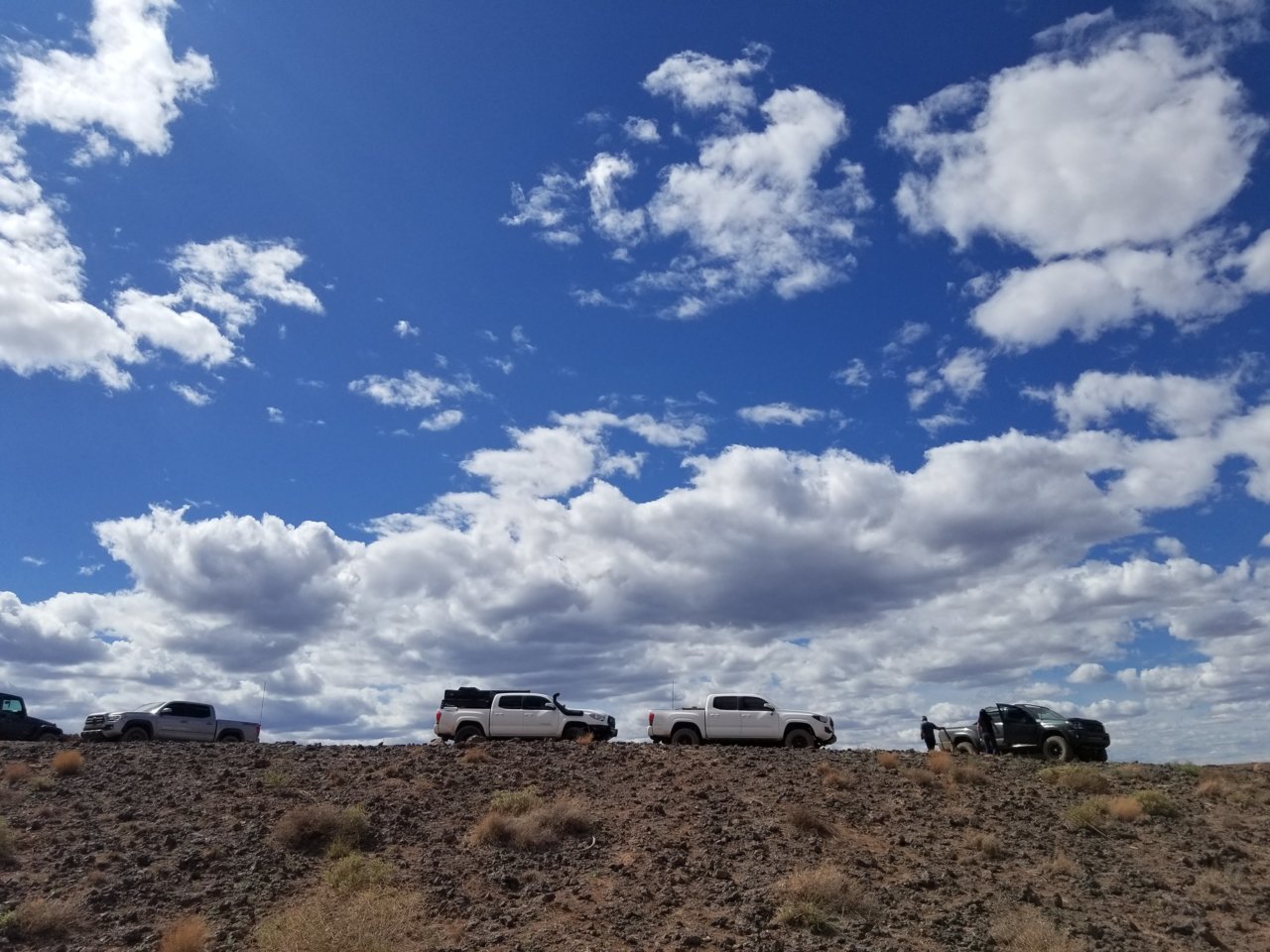 20190406_152131.jpg