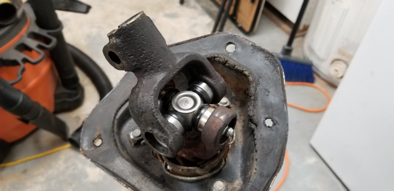 20190406_163255.jpg