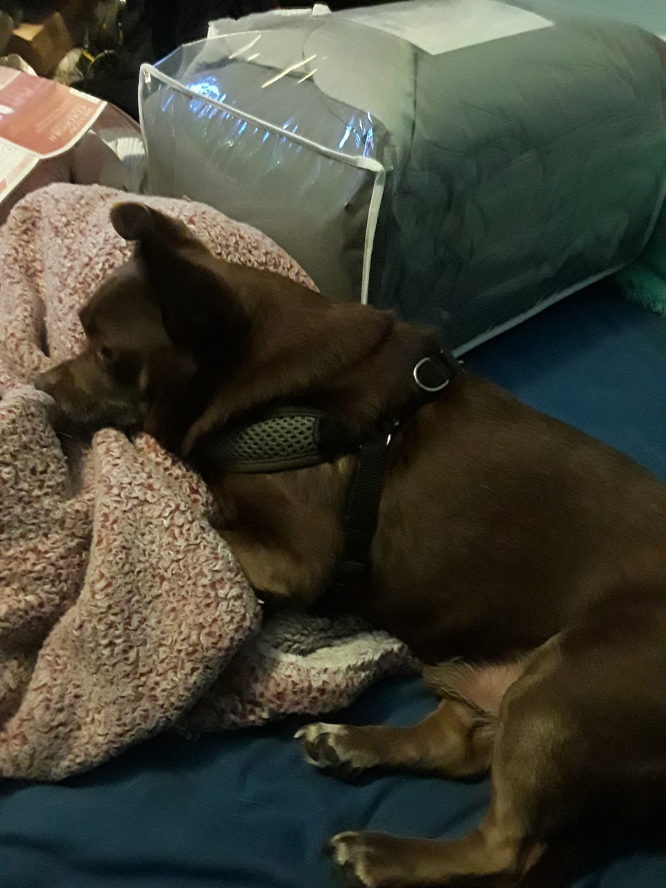 20190406_201239.jpg