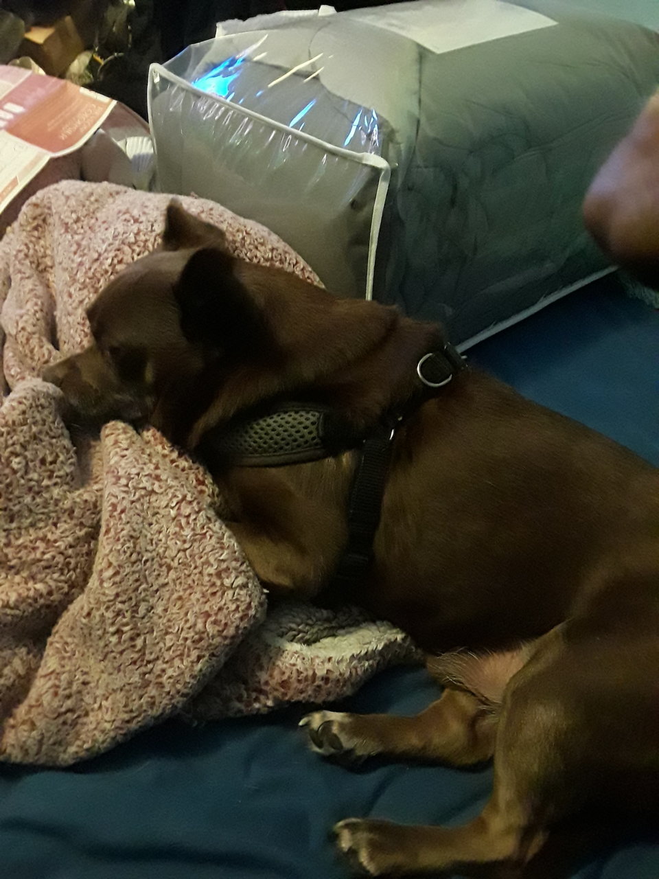 20190406_201243.jpg