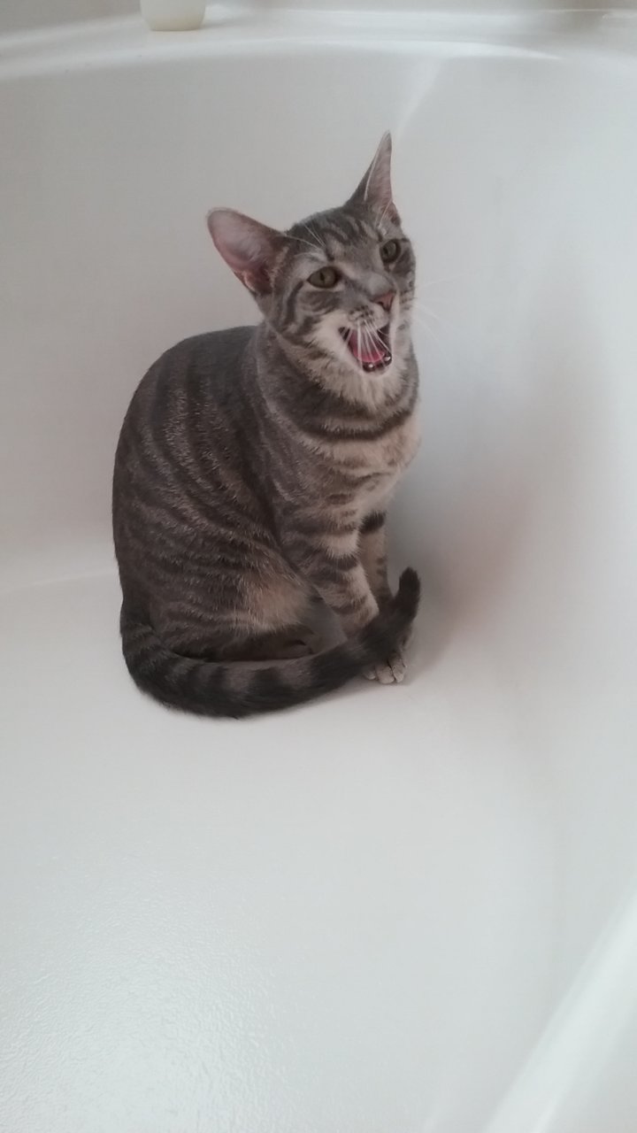 20190407_105230.jpg