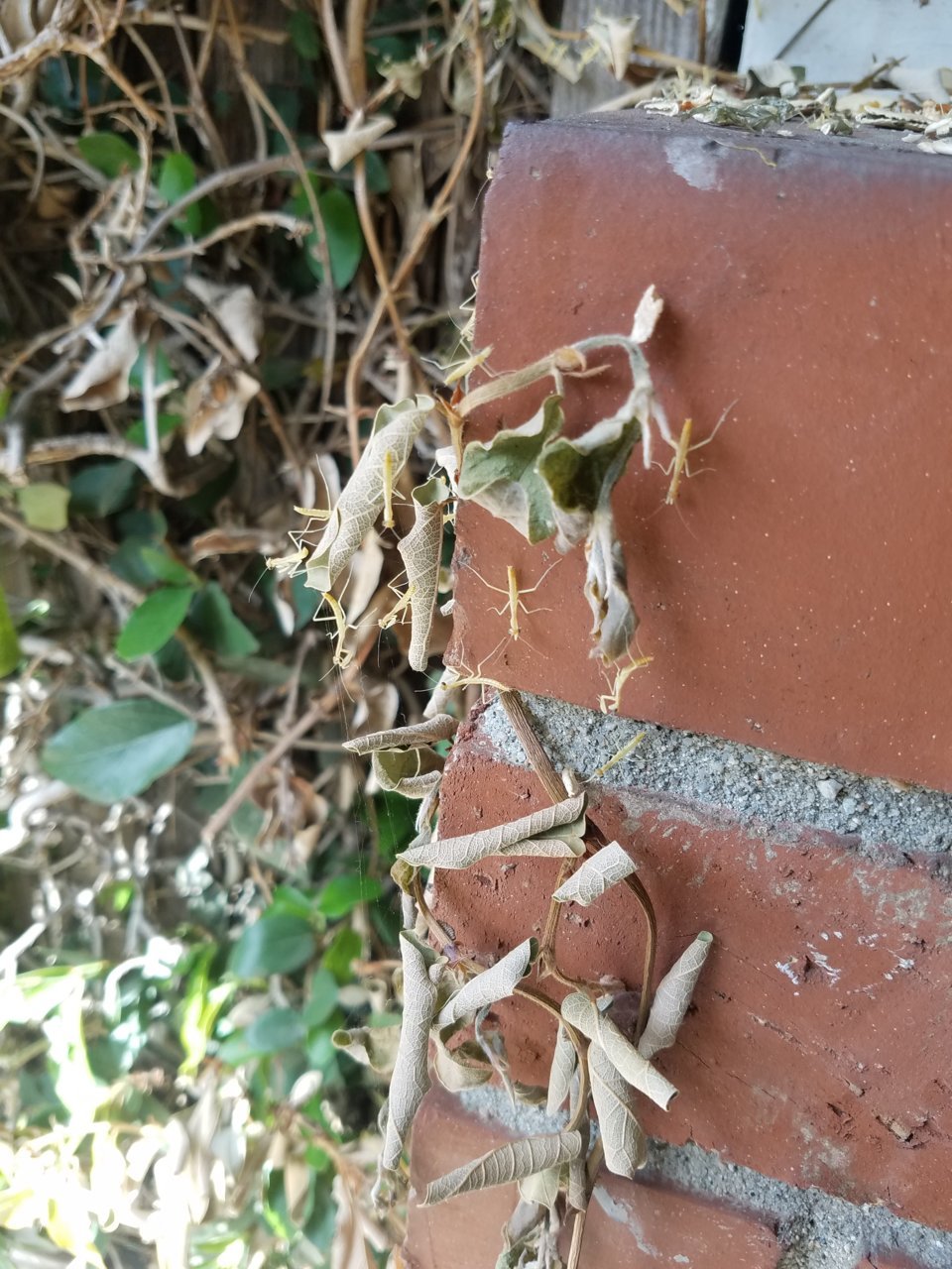20190407_110531.jpg
