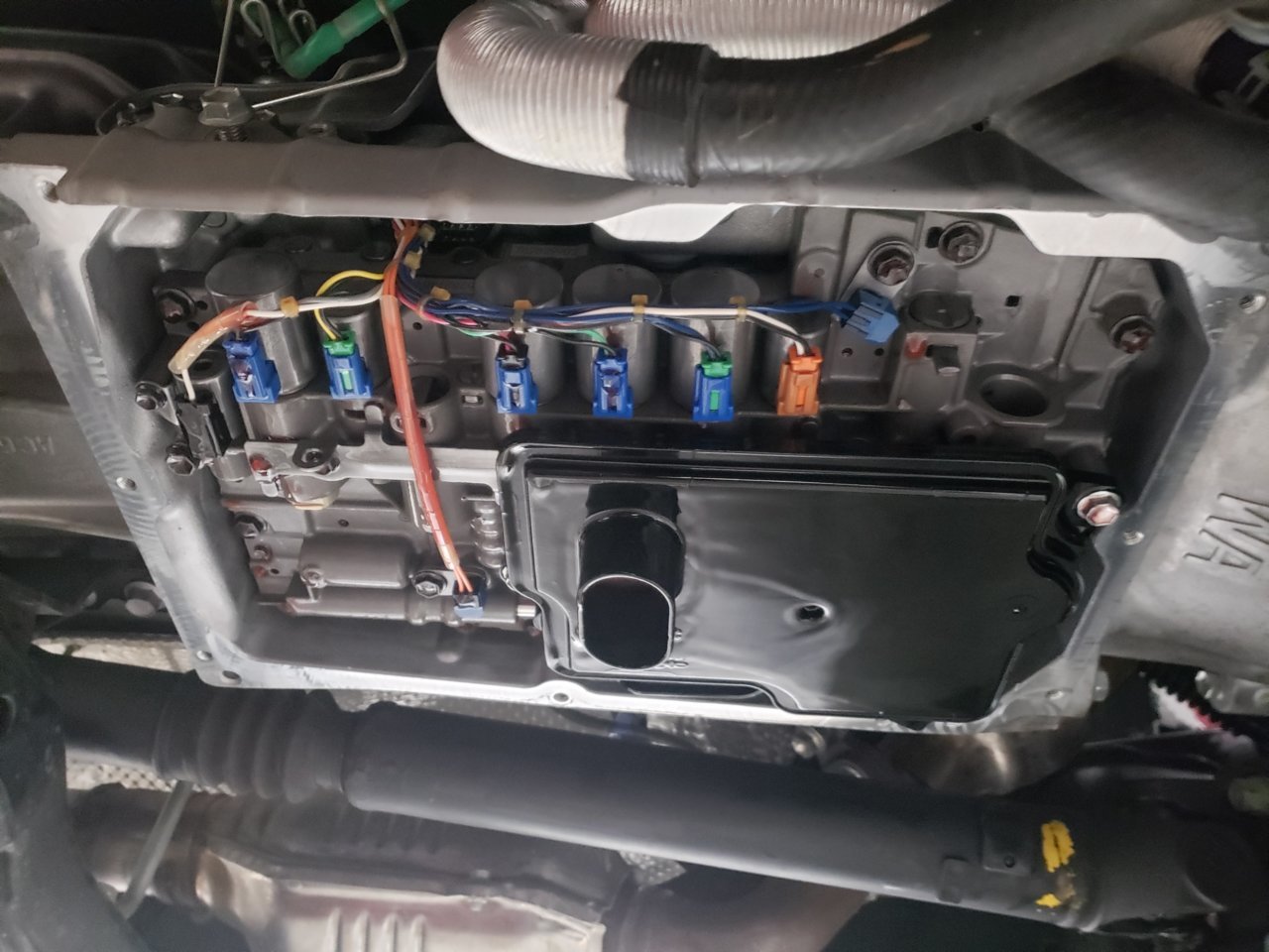 20190407_125445.jpg