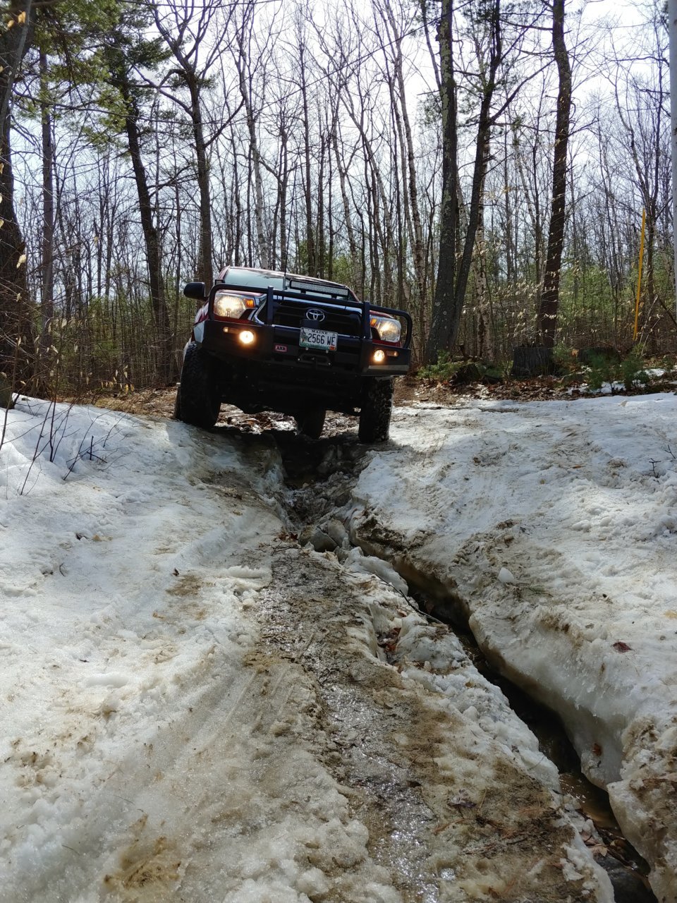20190407_143355_HDR.jpg