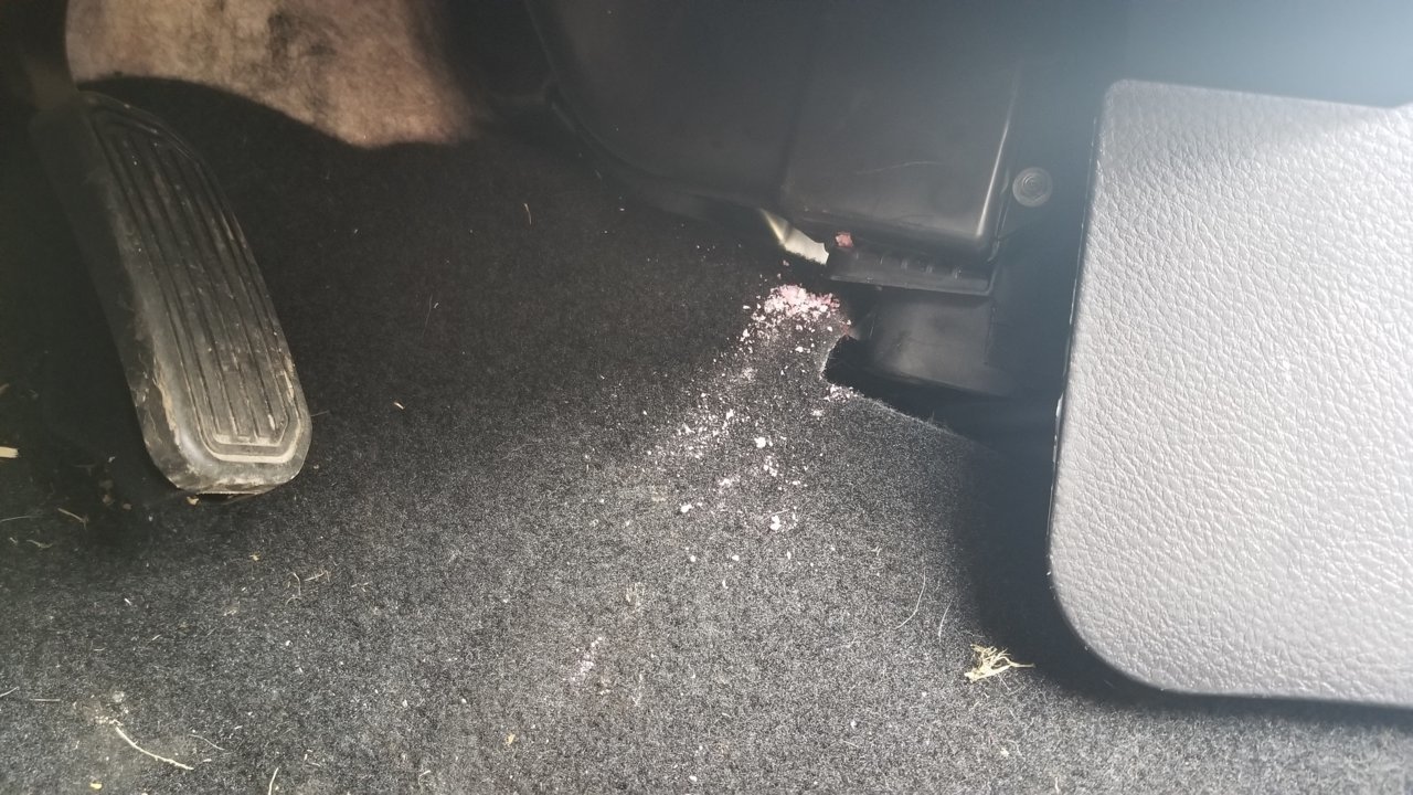20190407_145727.jpg