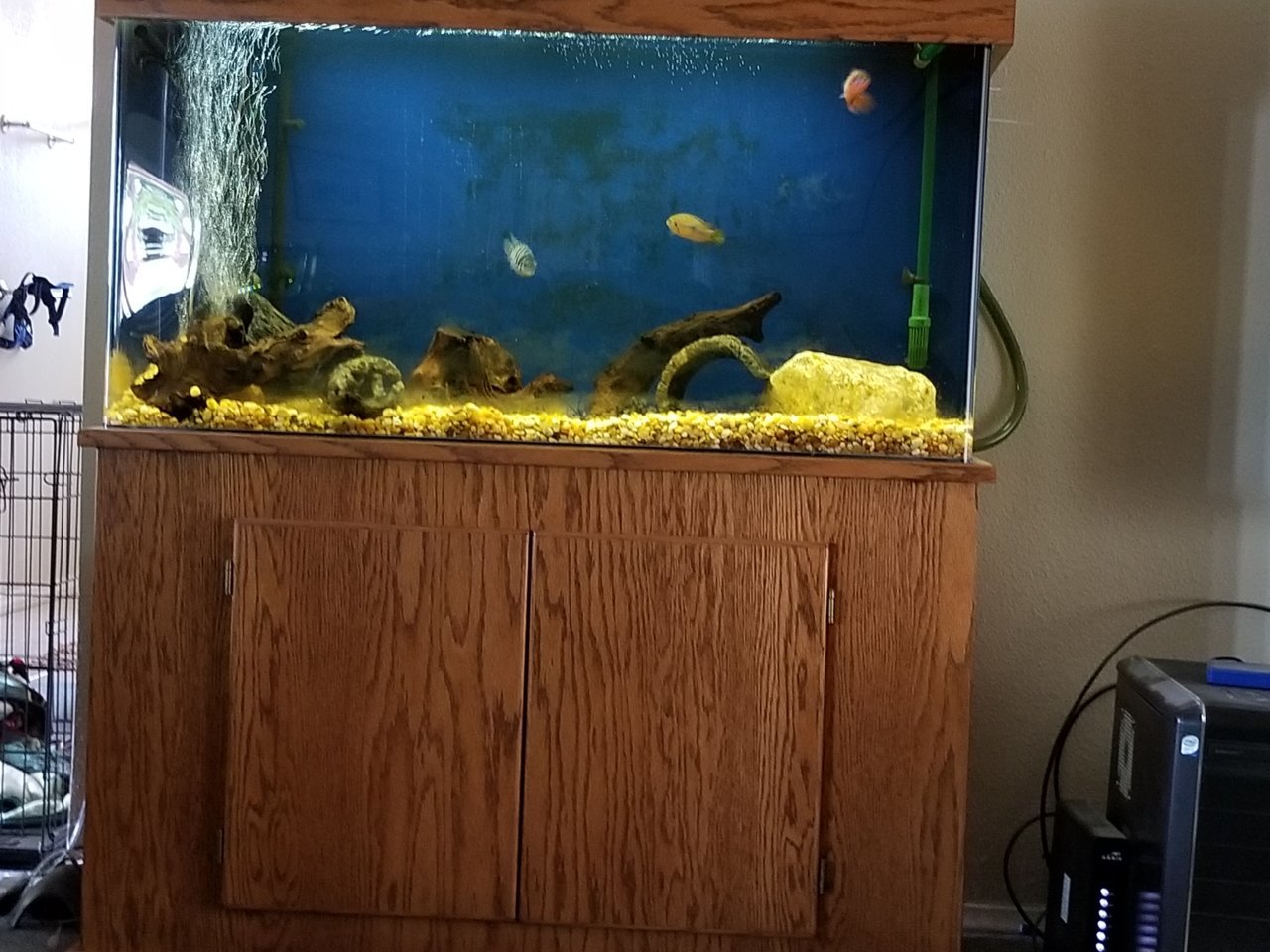 20190407_150237.jpg