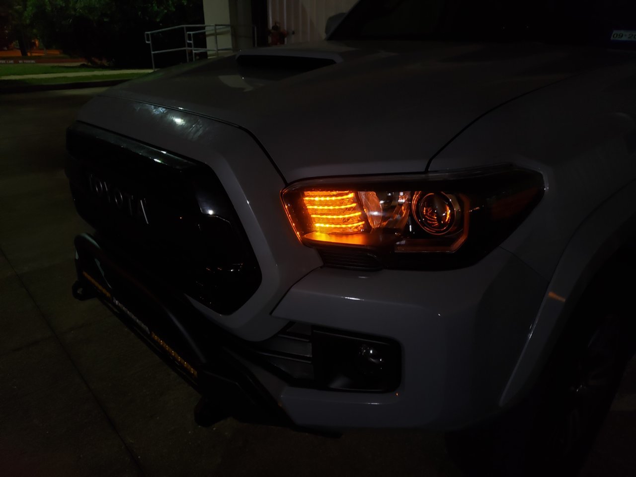 20190407_230924.jpg