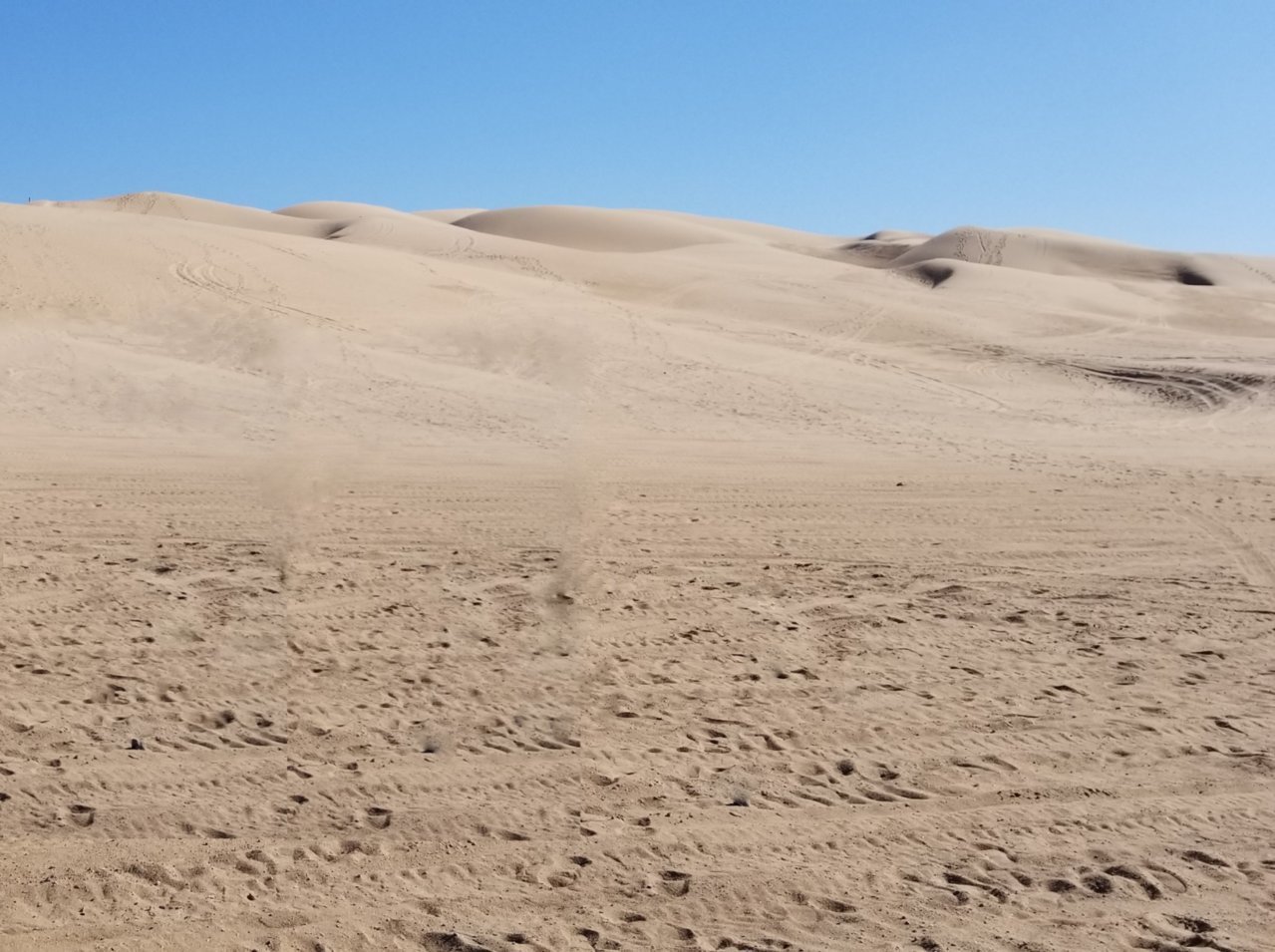 20190408_022116.jpg