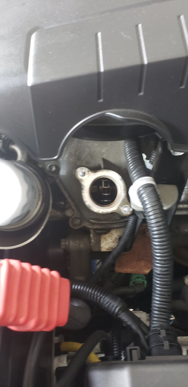 20190408_084018.jpg