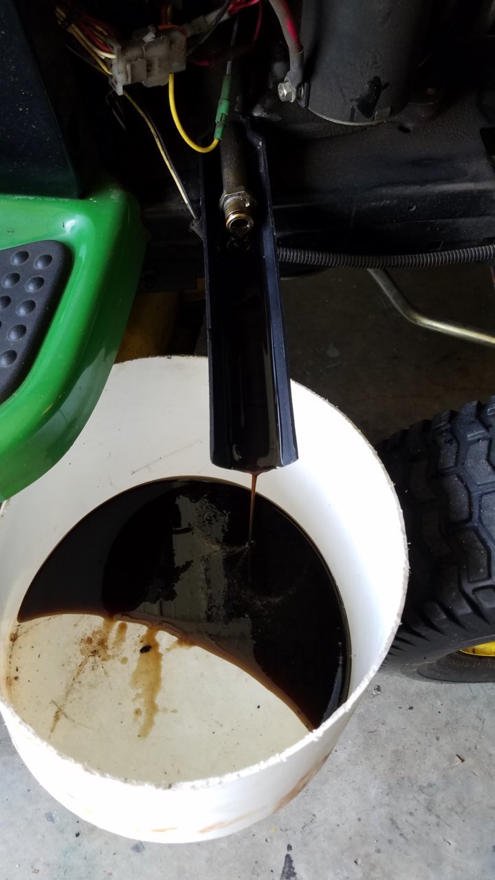 20190408_103811.jpg