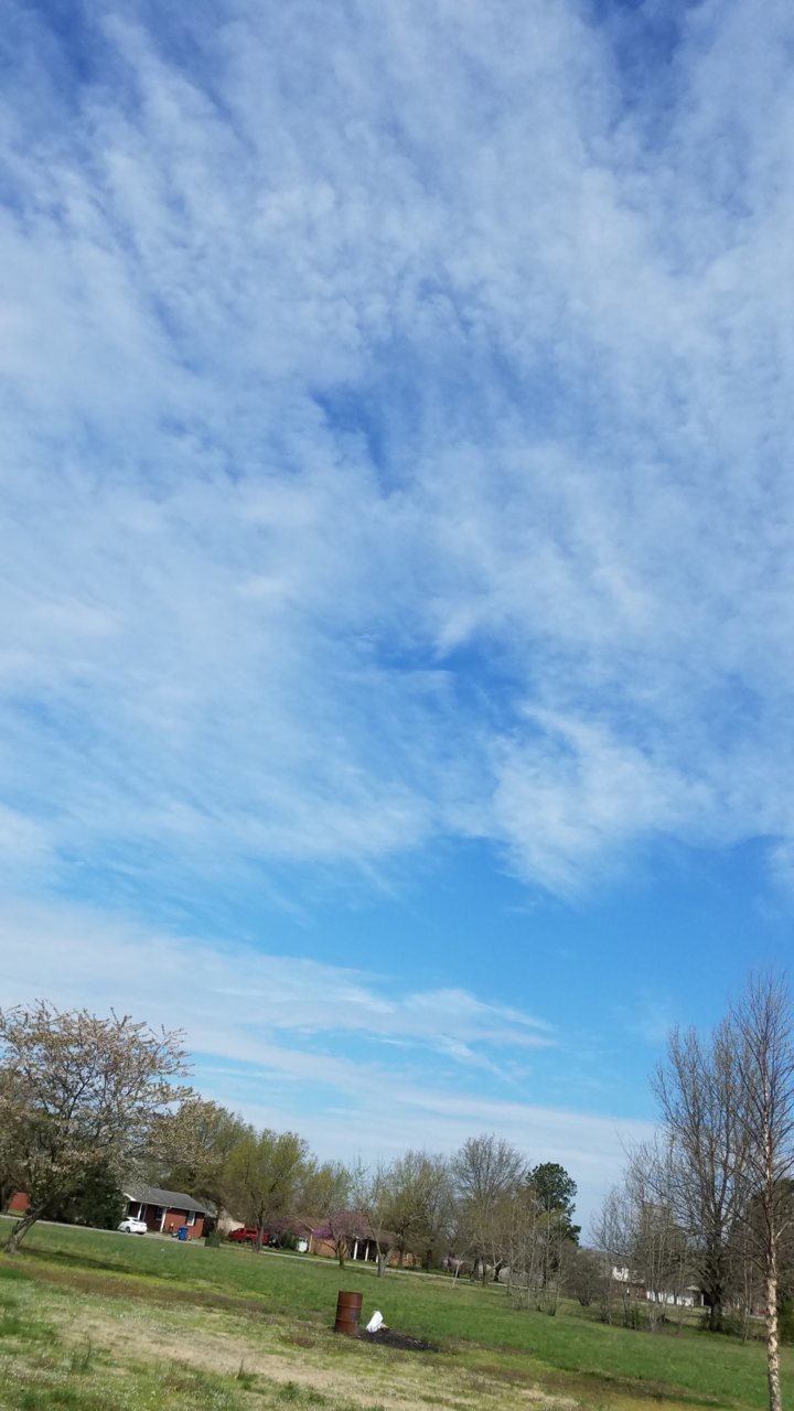 20190408_104242.jpg