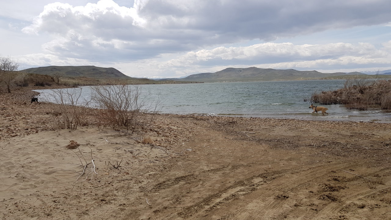 20190408_132242.jpg