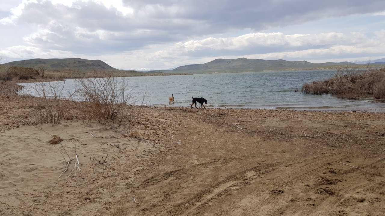 20190408_132303.jpg