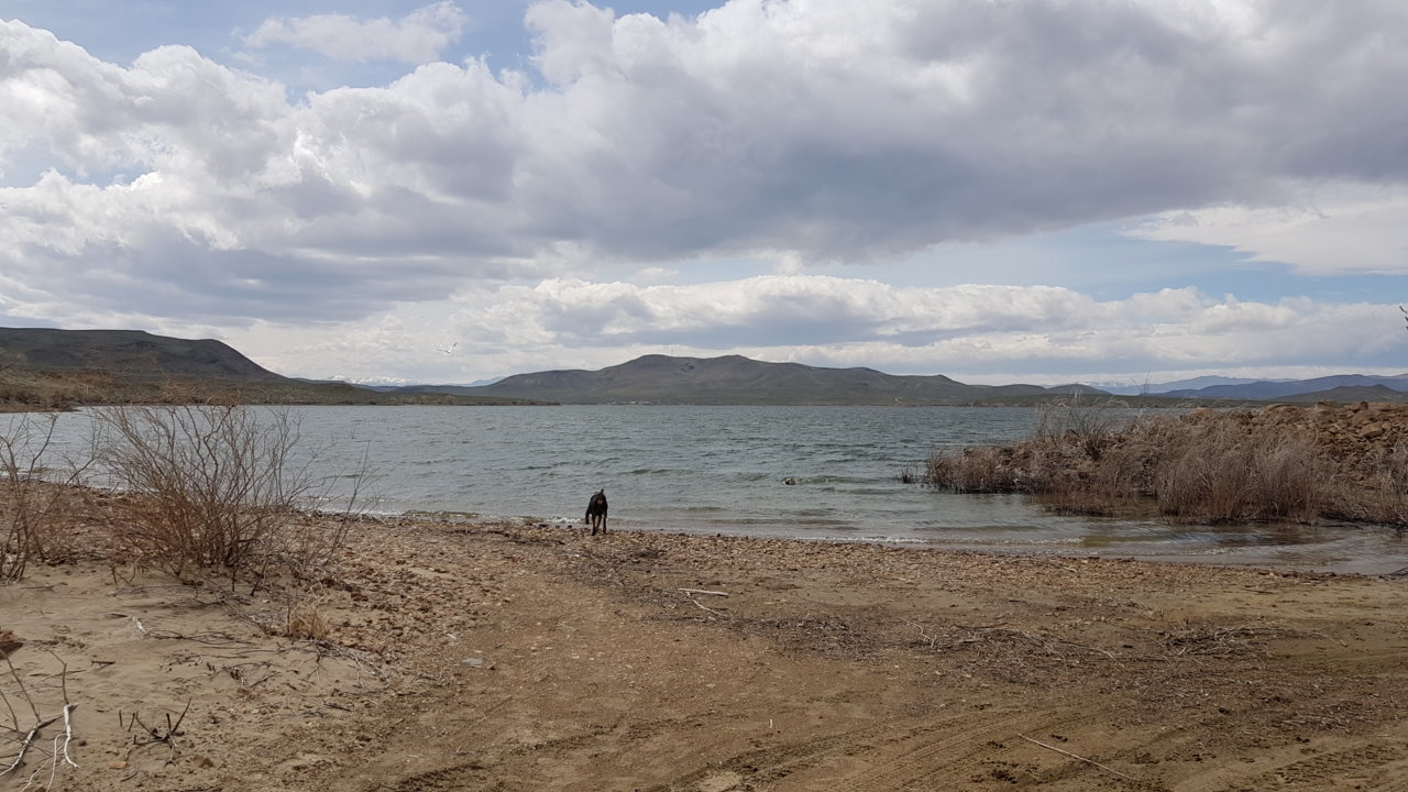 20190408_132715.jpg