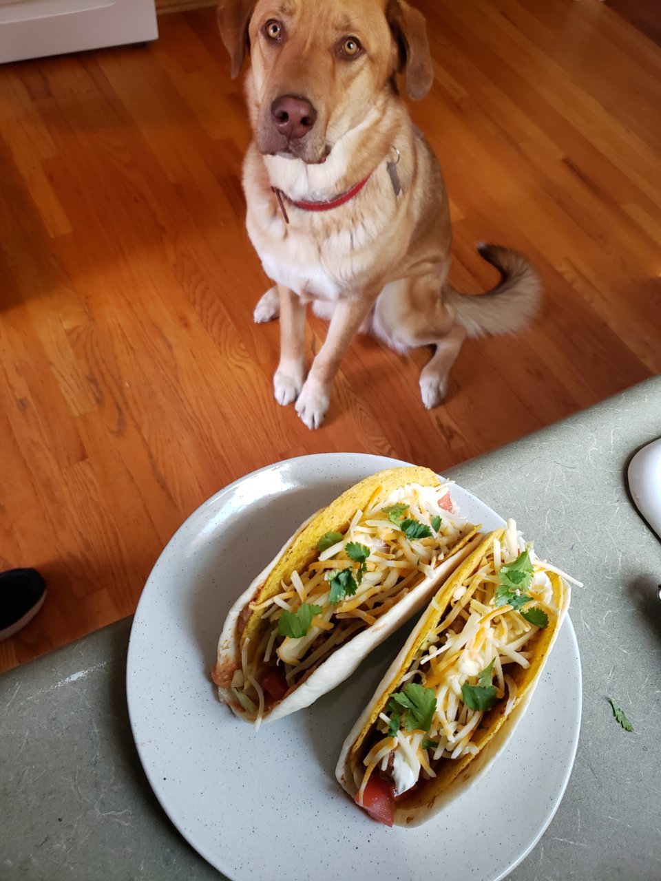 20190408_143414.jpg