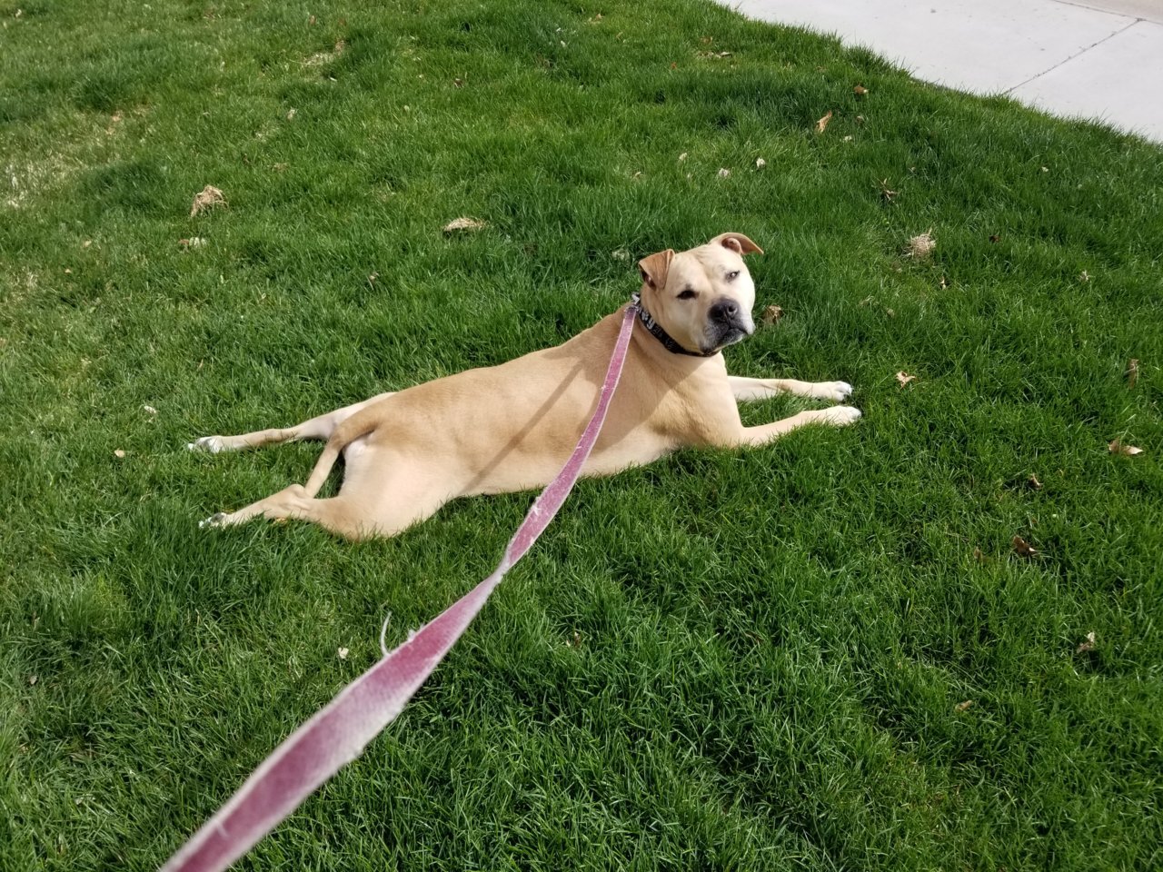 20190408_151755.jpg