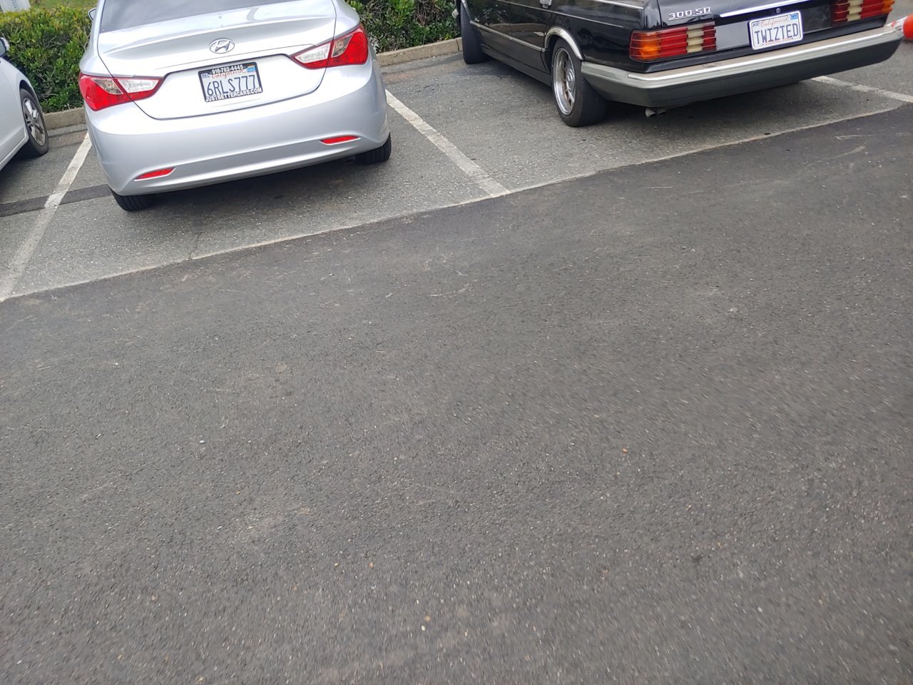20190408_154405_HDR.jpg