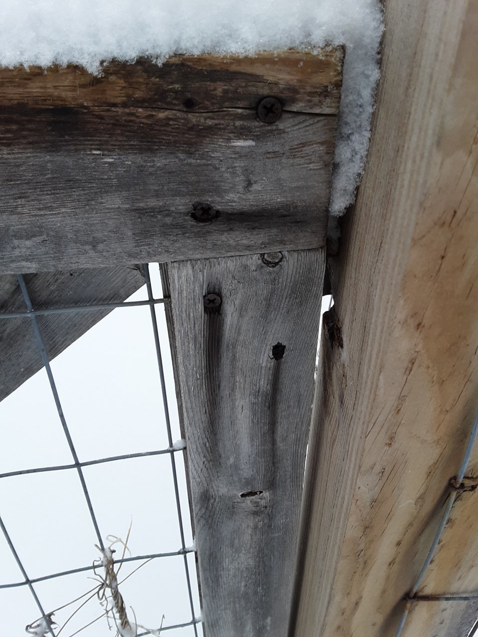 20190408_173106_resized.jpg