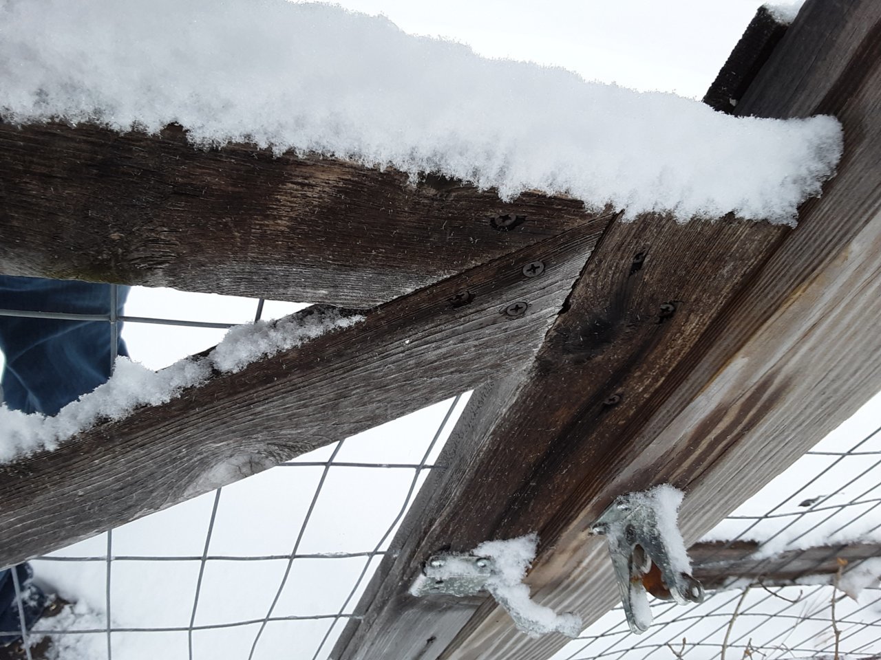 20190408_173132_resized_1 (1).jpg