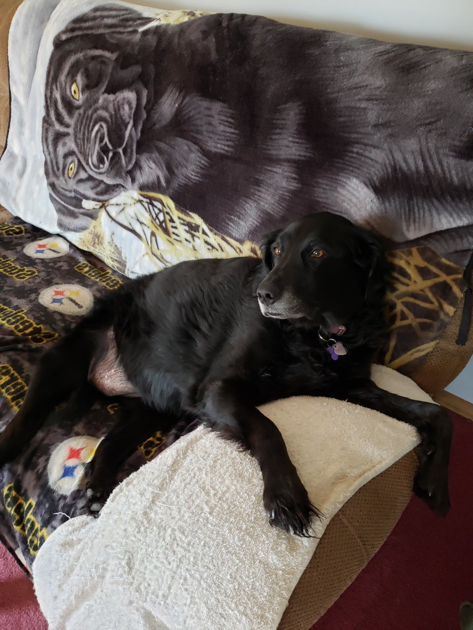 20190409_100306.jpg