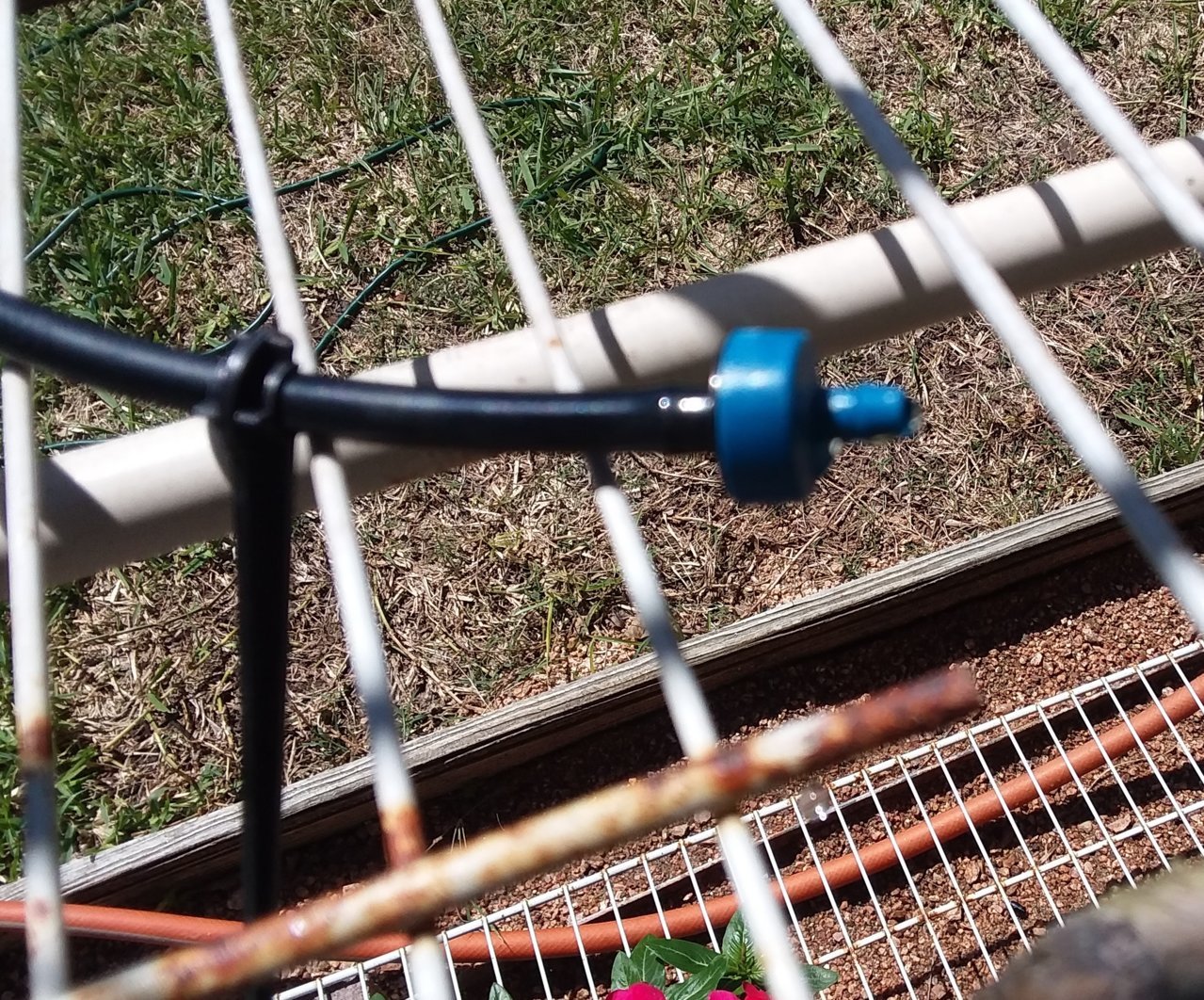 20190409_122752.jpg