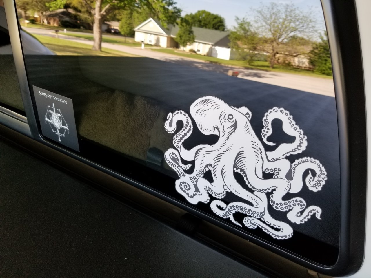 20190409_172251.jpg