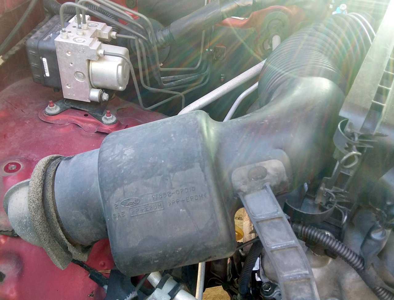 20190410_143206.jpg