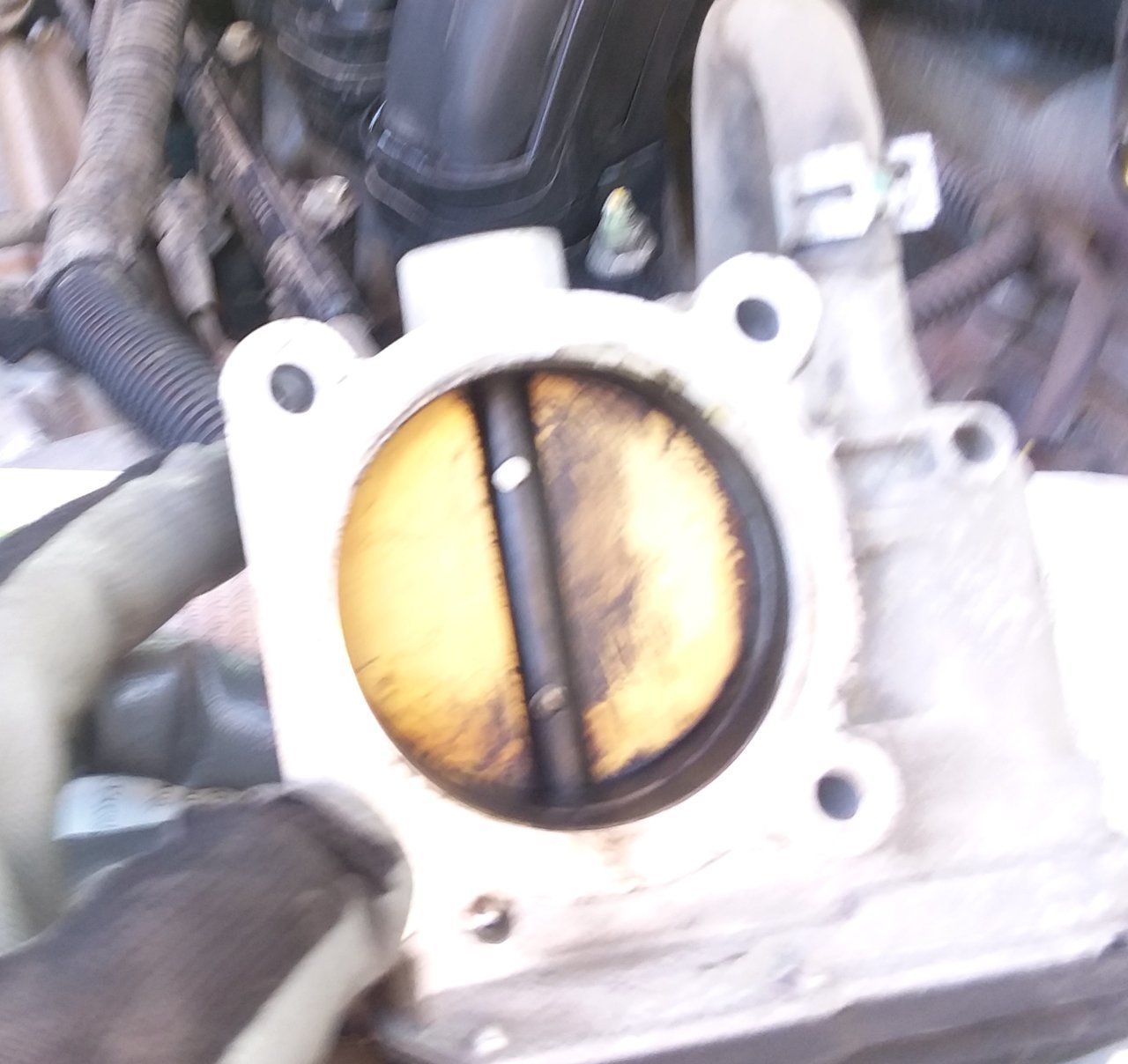 20190410_150921.jpg